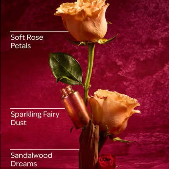 •Aurora• Bath & Body Works 3-Wick Soy Blend Wax Candle - Picture 3 of 4